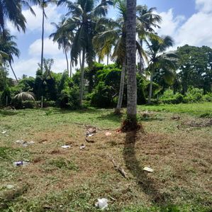 Land for sale in Daluwakotuwa Negombo - Image 2