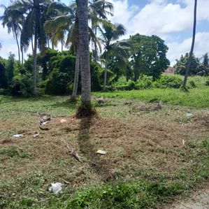 Land for sale in Daluwakotuwa Negombo - Image 3