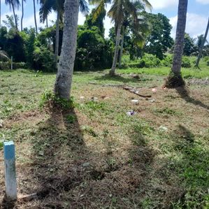 Land for sale in Daluwakotuwa Negombo - Image 4