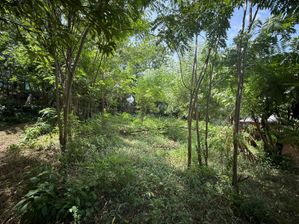 Land for Sale near Zahira College matale