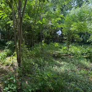 Land for Sale near Zahira College matale - Image 2