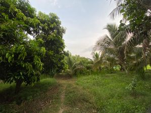 Land for Sale Wariyapola