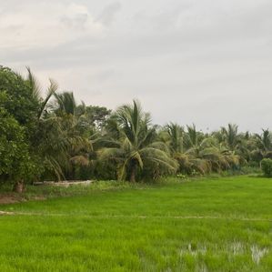 Land for Sale Wariyapola - Image 2