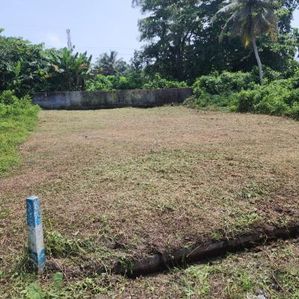 Panadura Land for Sale - Image 3