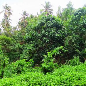Land for Sale in Kadawatha - Image 3