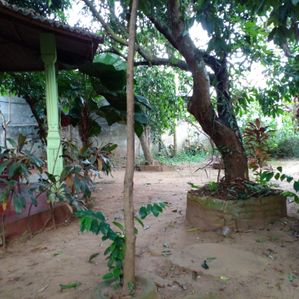 Land for Sale in Elwala Junction - Image 3