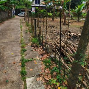 Land For Sale in Jaela - Image 3