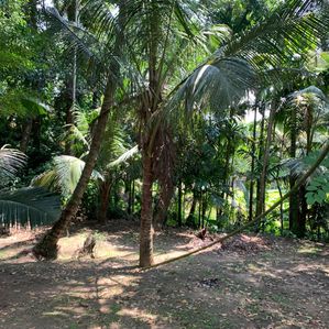 14 Pearch Land For Sale In Mawilmada, Kandy (TPS2384) - Image 2