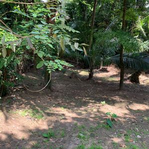 14 Pearch Land For Sale In Mawilmada, Kandy (TPS2384) - Image 3