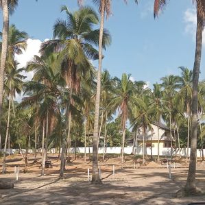 නේවාසික බිම්කොටස් ගම්පහ යක්කලින් - Image 3