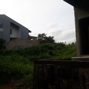 පින්නදූව අදිවේගී පිවිසුම ආසන්නයේ වටිනා ඉඩමක් - Image 2