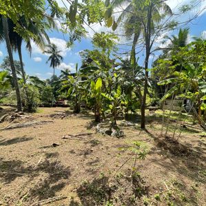 Land For Sale - Kandana - Image 3