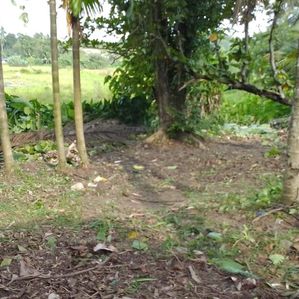 Land Facing Scenic Paddy Field Athurugiriya - Image 2