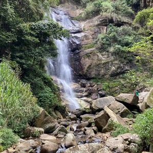 47 Acres. super Land For Sale in Mandaram Nuwara Eliya - Image 3