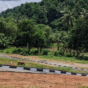 හයිලෙවල් පාර මීපෙ හන්දියට 1km දුරින් ඉඩමක් - Image 2