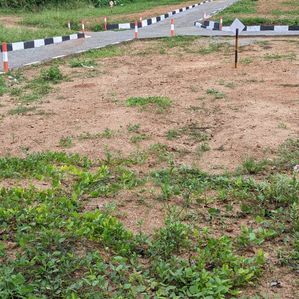 හයිලෙවල් පාර මීපෙ හන්දියට 1km දුරින් ඉඩමක් - Image 3