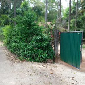 Land For sale with House in Tissamaharama - Image 2