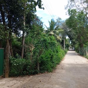 Land For sale with House in Tissamaharama - Image 3