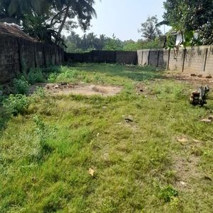 நல்லூர் யாழ்ப்பாணம் காணி விற்பனைக்கு - Image 3