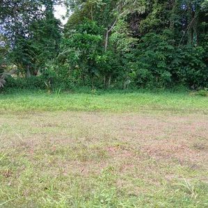 Land for Sale in Gampaha Miriswatta Wathuregama Road - Image 2