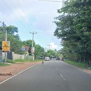Land for Sale in Gampaha Miriswatta Wathuregama Road - Image 3