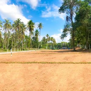 Land For Sale In Veyangoda - Image 2