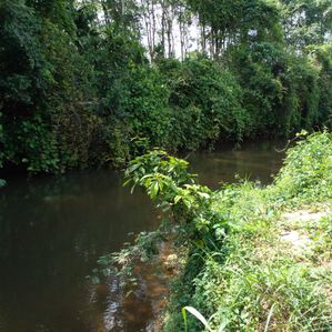 Mawak Oya Facing Land For Sale Handapangoda - Image 3