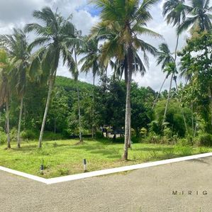 Land for sale in Mirigama Kotadeniyawa road - Image 3