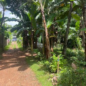 Land for Sale Maharagama - Bokundara Road - Image 2