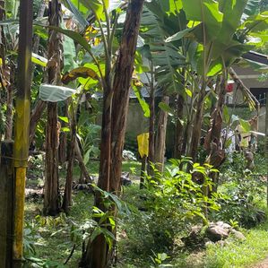 Land for Sale Maharagama - Bokundara Road - Image 3