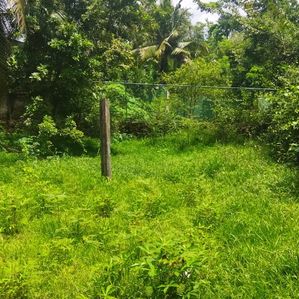 Nawinna Prime Location 20 Perches With Two Houses For Sale - Image 2
