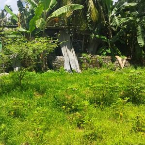 Nawinna Prime Location 20 Perches With Two Houses For Sale - Image 3