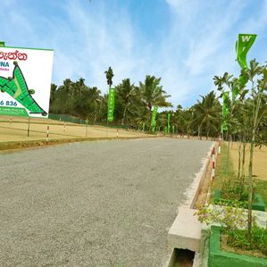 Welipenna Valuable Land Plots For Sale - Image 3
