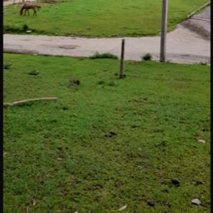 Nuwara Eliya City Limit Land with Clear Deeds - Image 2