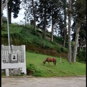 Nuwara Eliya City Limit Land with Clear Deeds - Image 3