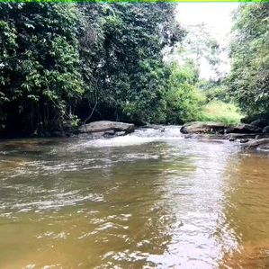 Handapangoda නගරයෙන් සුන්දර බිම්කොටස් - Image 2