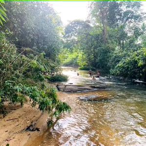 Handapangoda නගරයෙන් සුන්දර බිම්කොටස් - Image 3