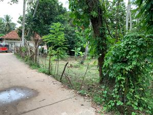 Land for Sale - Kandana/ Ragama