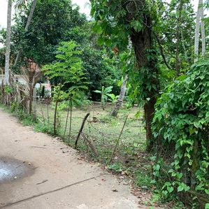 Land for Sale - Kandana/ Ragama - Image 2