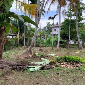 Land for Sale - Kandana/ Ragama - Image 3