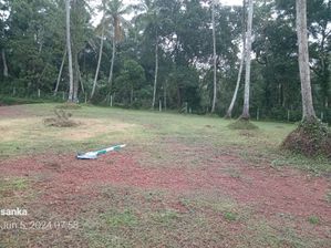 නිල්පනාගොඩින් ඉඩමක්...