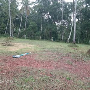 නිල්පනාගොඩින් ඉඩමක්... - Image 2