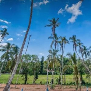 නිල්පනාගොඩින් ඉඩමක්... - Image 3