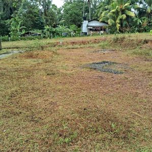 Super Land for Sale-Horana - Image 2