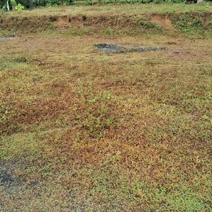 Super Land for Sale-Horana - Image 3