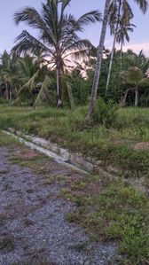 මීරිගම දිවුලපිටිය පාරෙන් ඉඩමක්