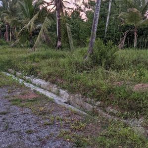 මීරිගම දිවුලපිටිය පාරෙන් ඉඩමක් - Image 2