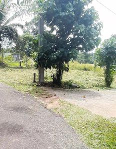 මීරිගම දිවුලපිටිය බස් පාරට ළගින්ම Land for Sale
