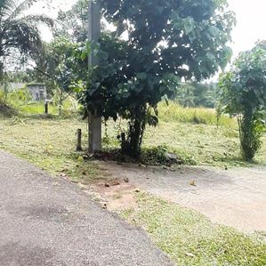 මීරිගම දිවුලපිටිය බස් පාරට ළගින්ම Land for Sale - Image 2