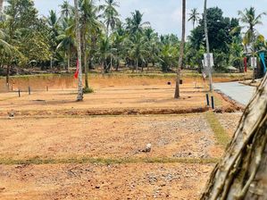 විකුනණ ඉඩම් ජා ඇල